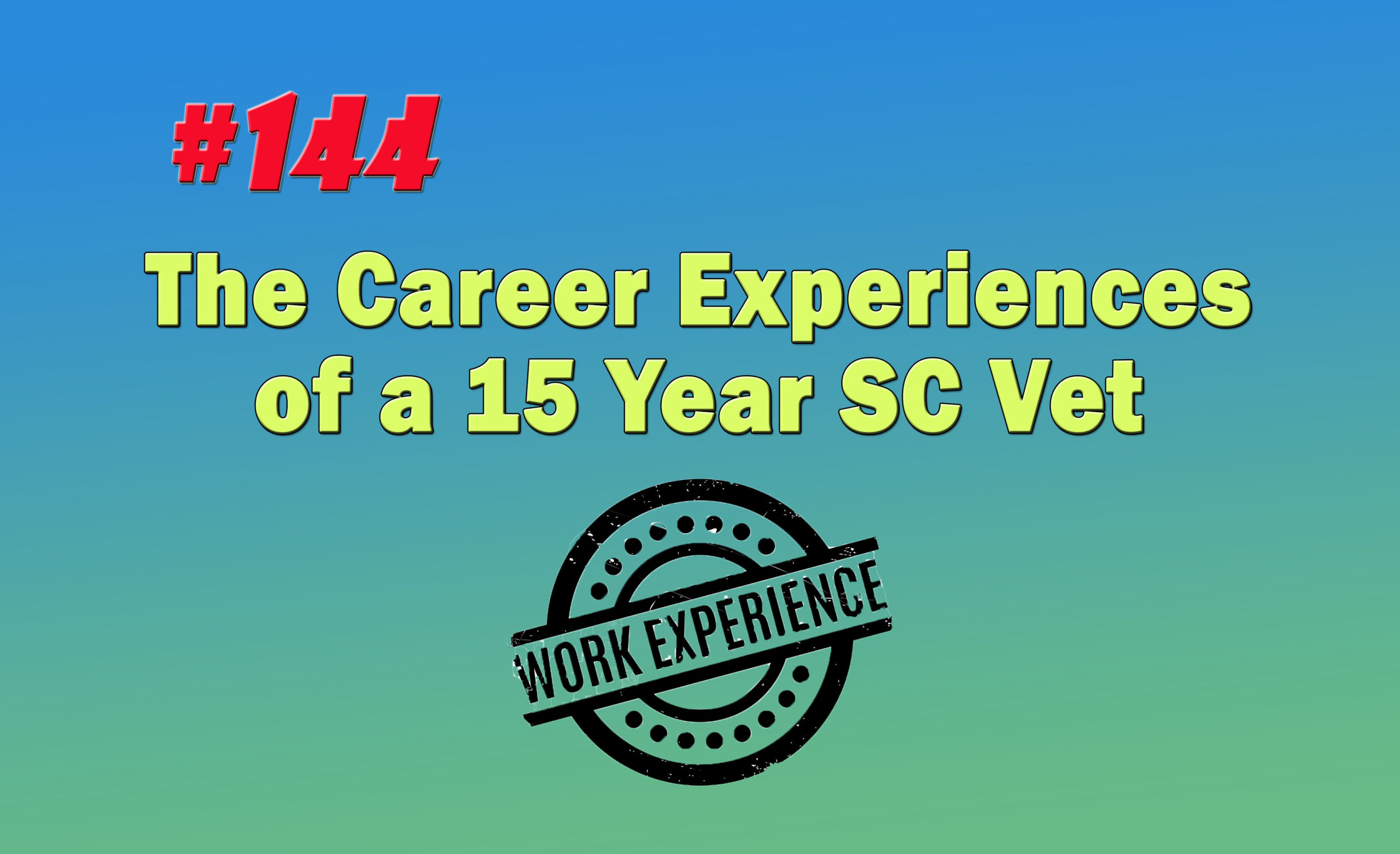 Read more about the article #144 The Career Experiences of a 15 Year SC Vet