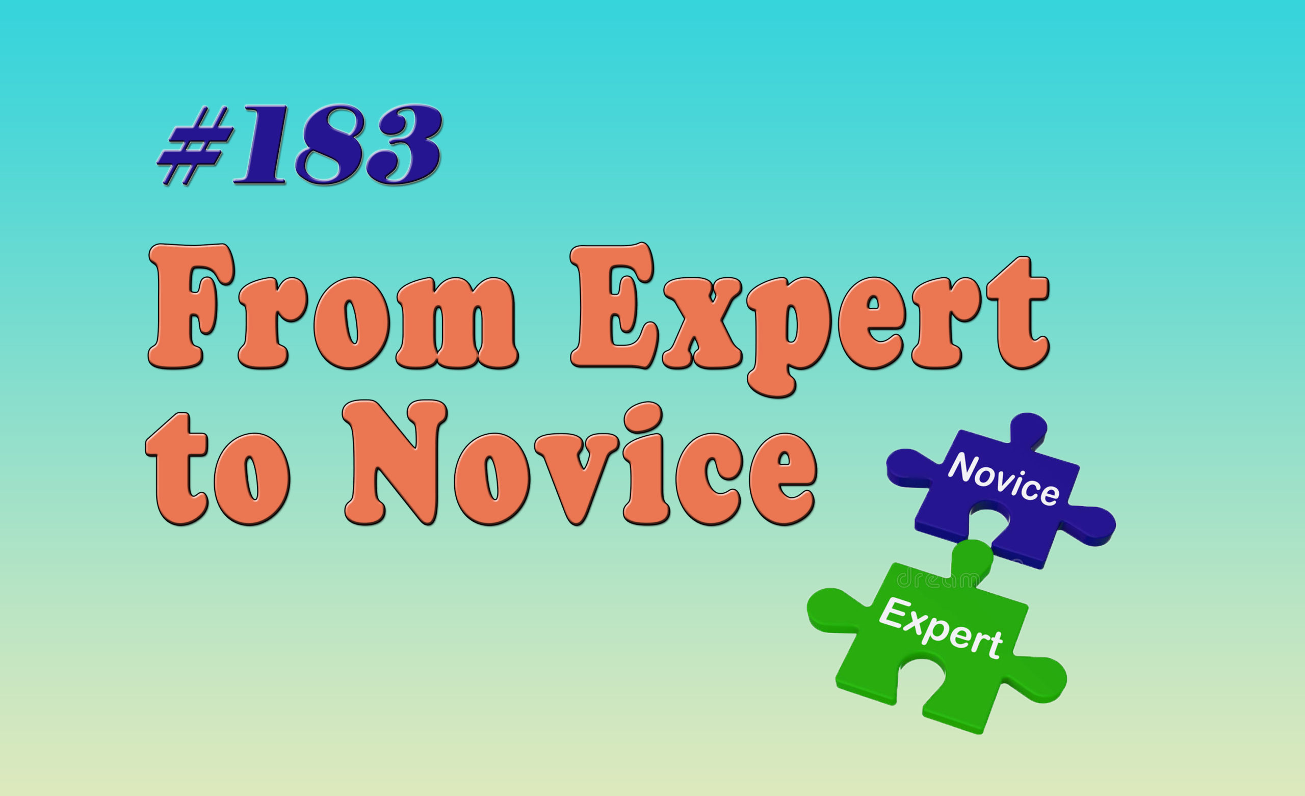 Read more about the article #183 From Expert to Novice